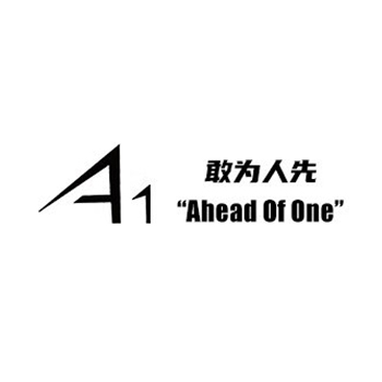 A1