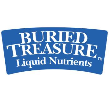 Buried Treasure