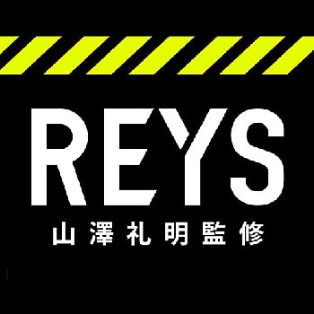Rays Energy